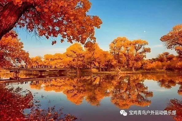 天然“养肾王”终于被发现,悍戈枸橼酸西地那非片助你提升男人味!