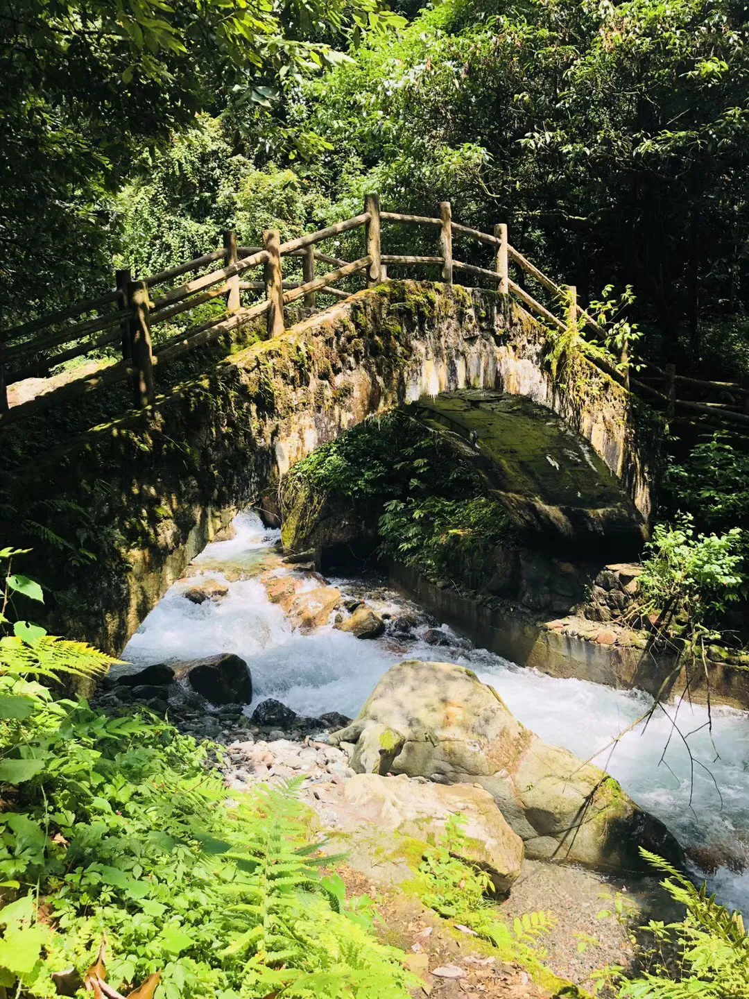 逃离弗农的房子